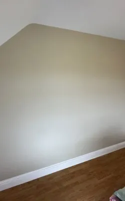 Sage painted bedroom walls
